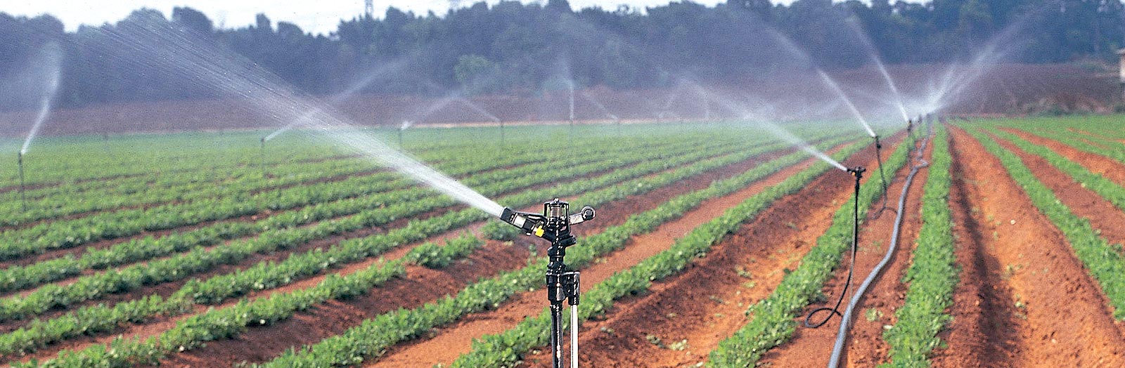 فروش آبپاش تنظیمی بارانی ویر کشاورزی